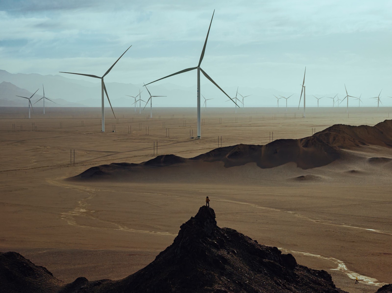 A wind farm in Qinghai Province, Weimin Chu