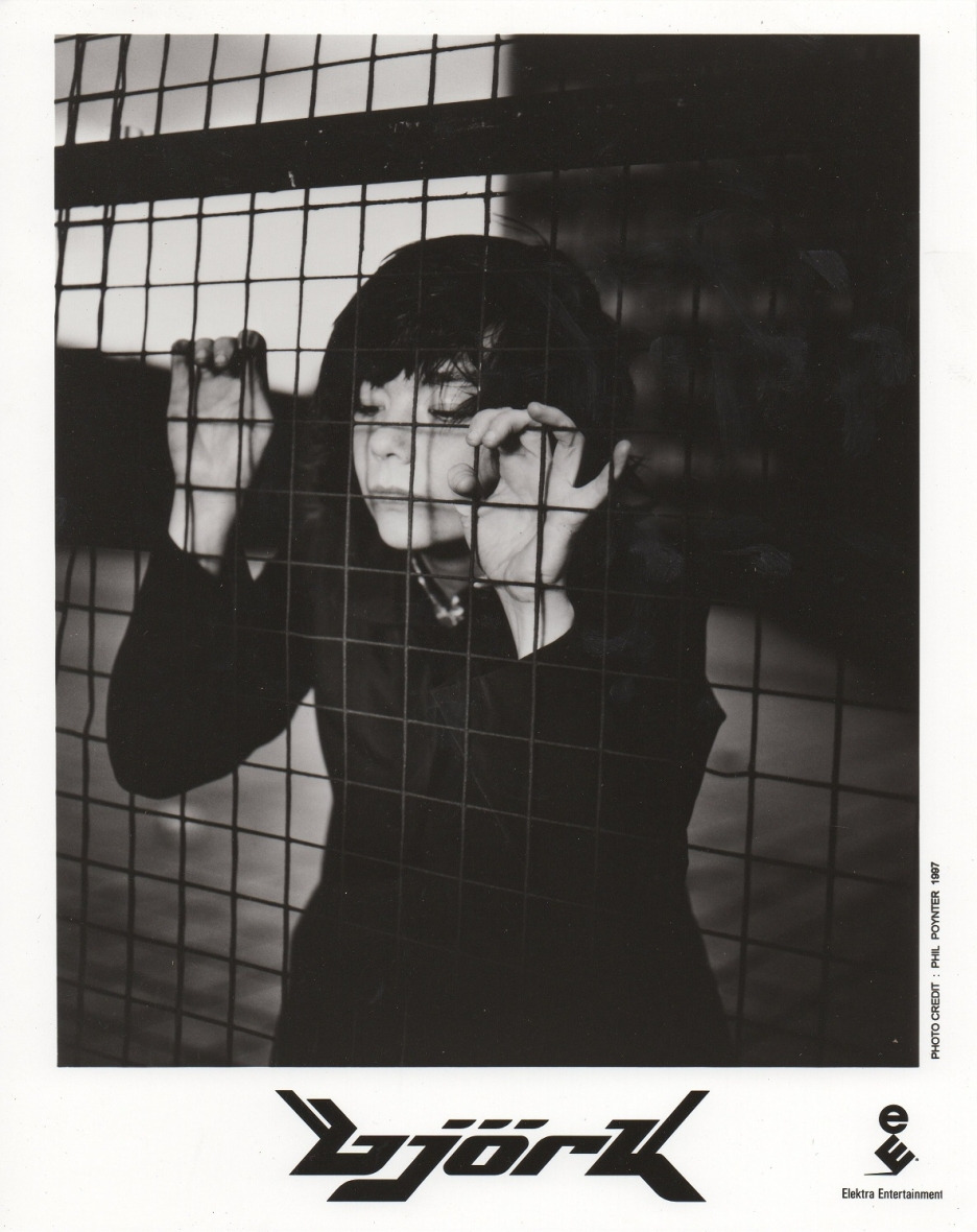 Björk Poster, 2001