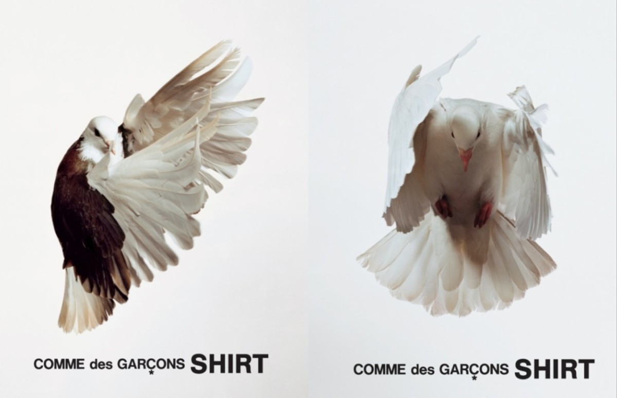 COMME des GARÇONS SHIRT, 2008