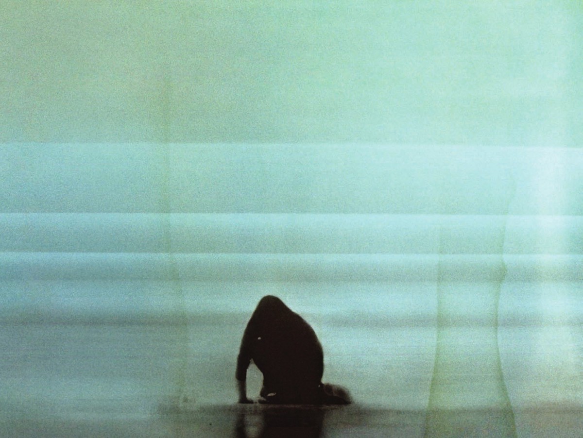 Daisuke Yokota, 2008